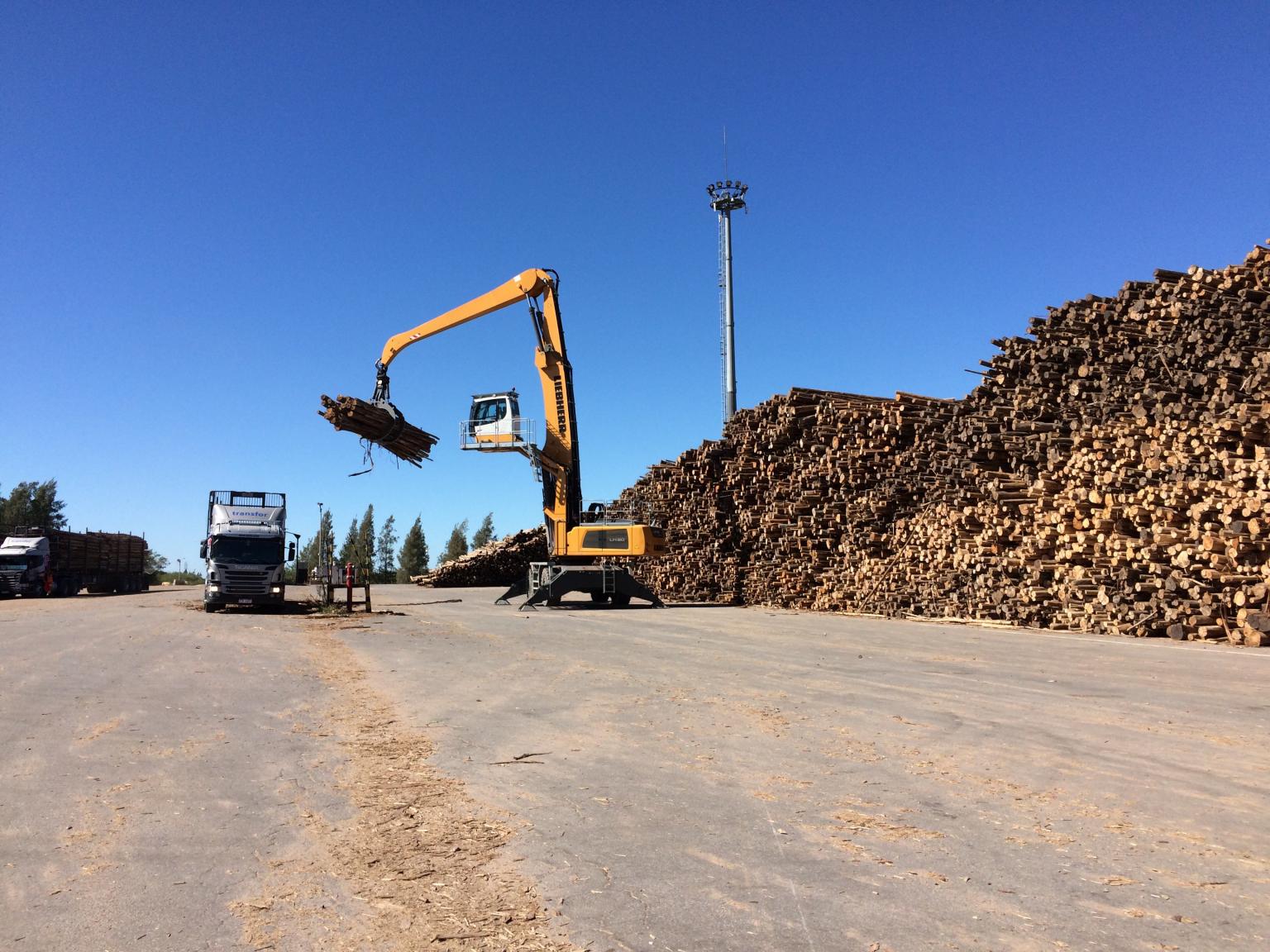 Operación de manejo de madera con maquinaria de Henderson Group