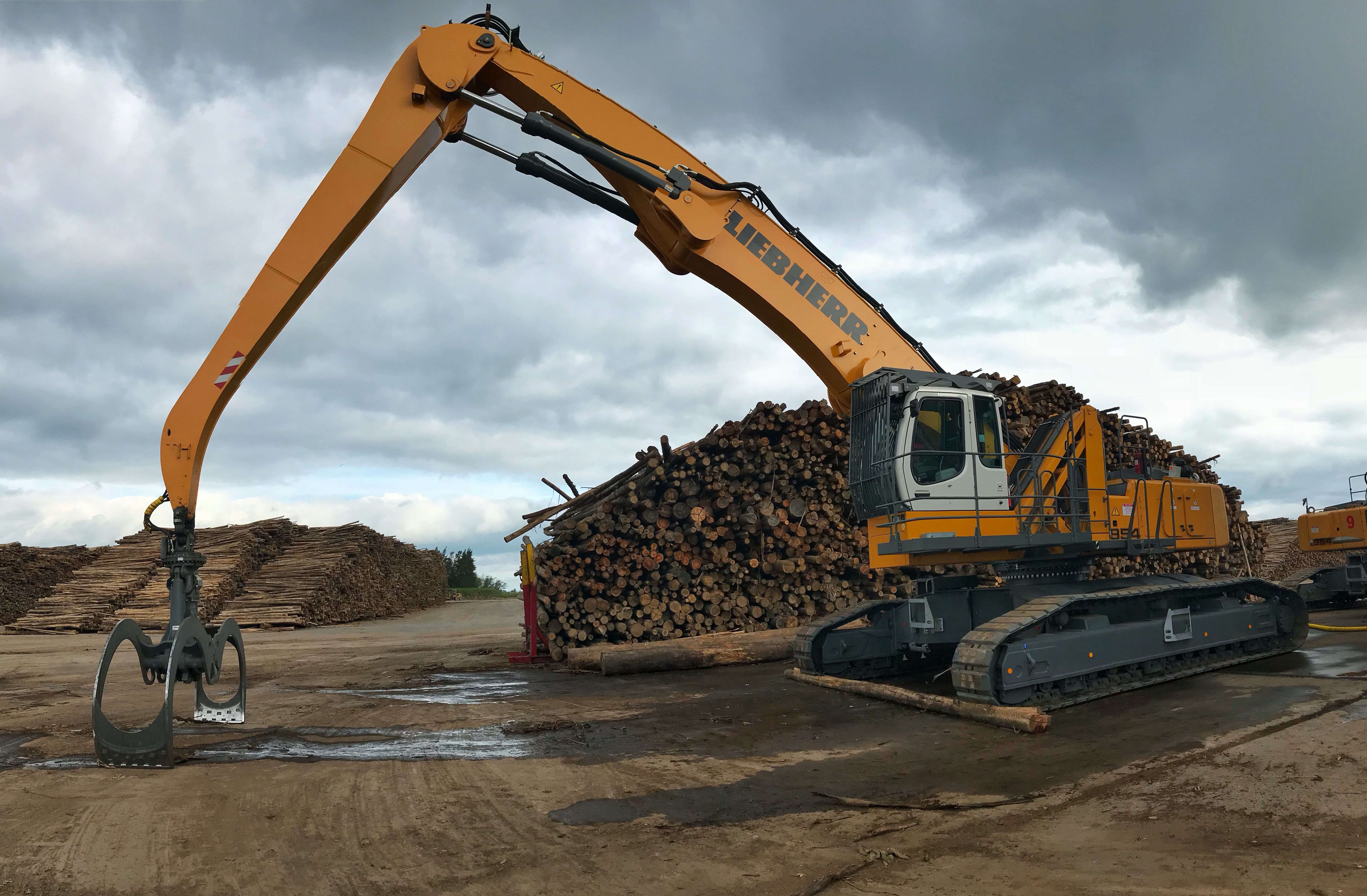 Grúa forestal Liebherr 954 C eléctrica